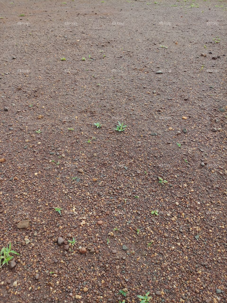 BBB.wow..it's Dryland before..rain season.. it's so good ...