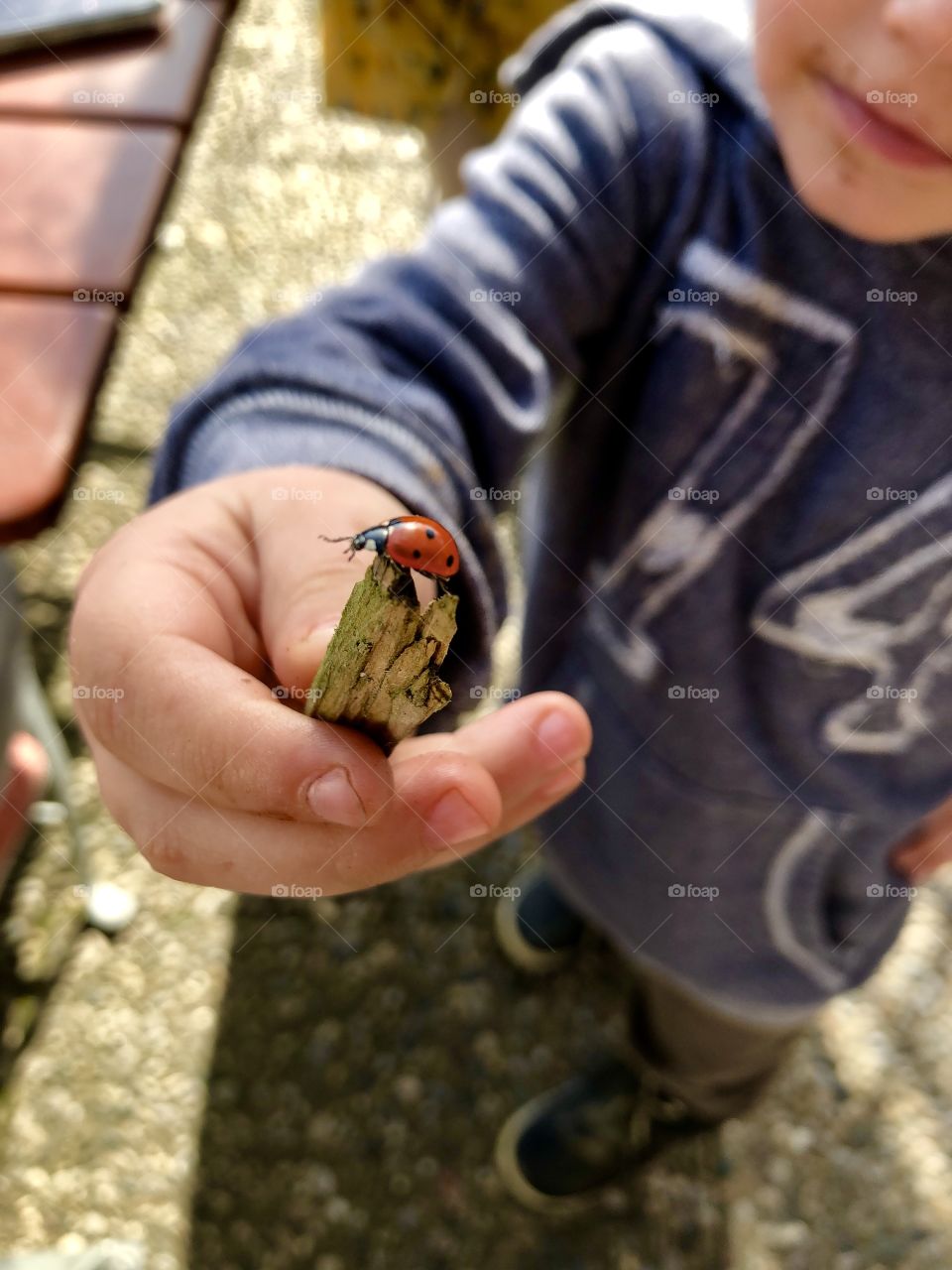 ohhhh ladybug 
