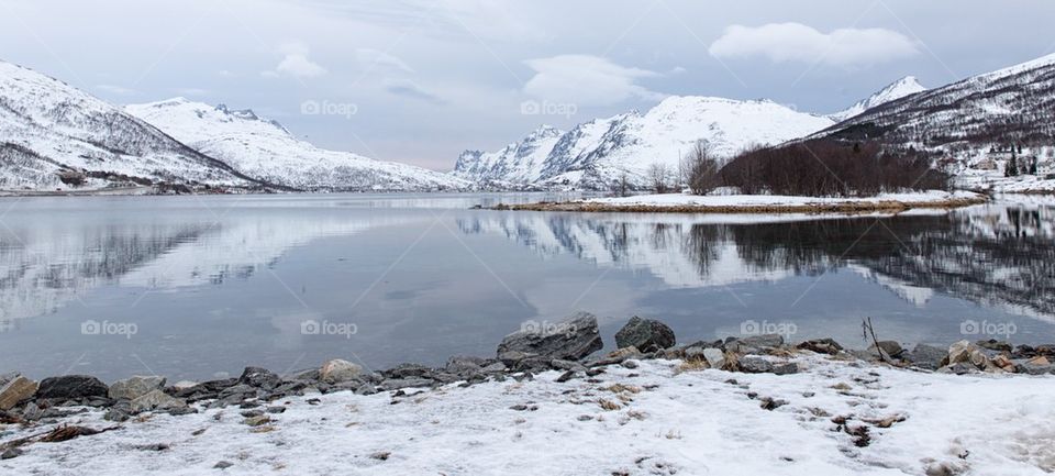 View of winter landscape