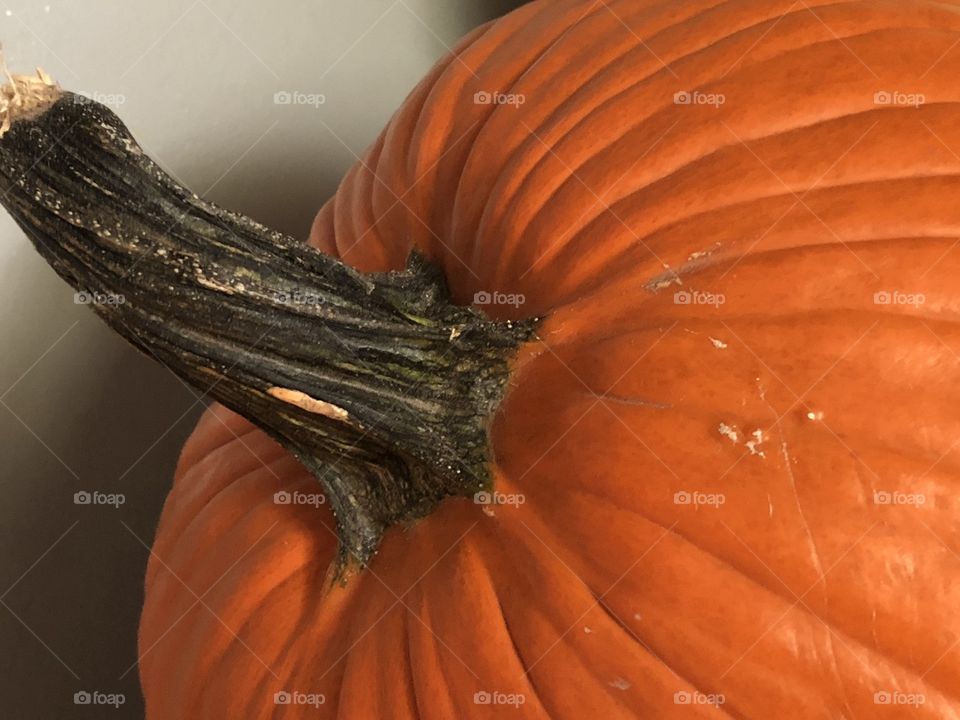 Top and stem of a bright orange pumpkin