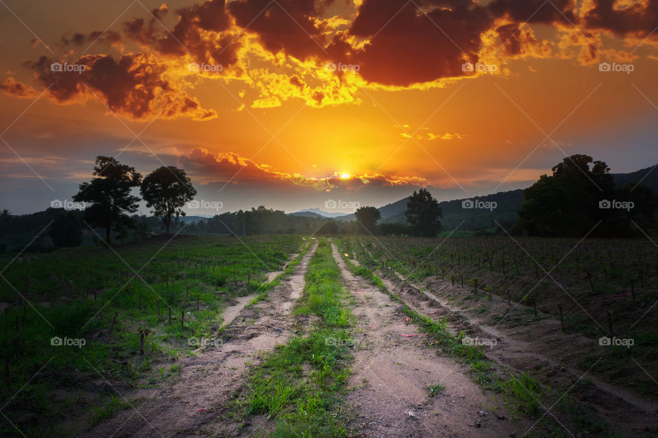 sunset with country road