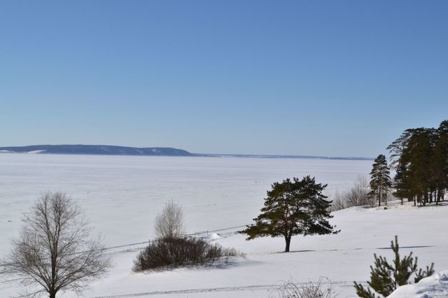 Winter by the river