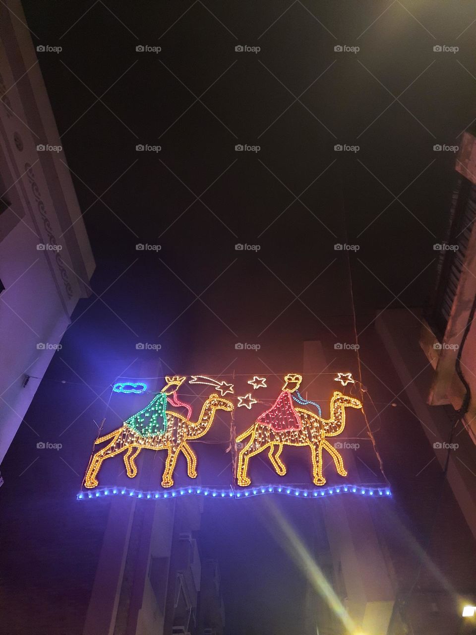 camels going to Betlem