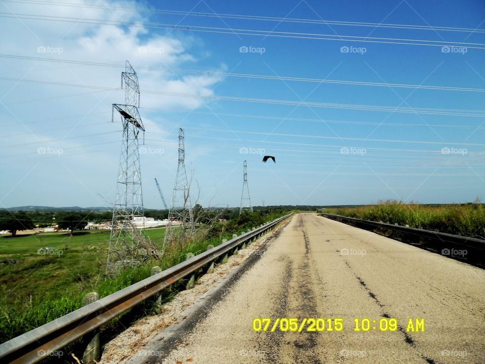 wicked vulture. This is a picture of a Texas vulture that was hovering over me this morning while out exploring