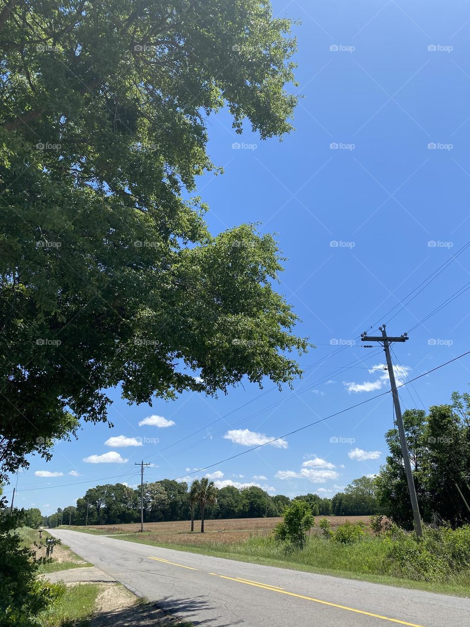 Beautiful country sky 