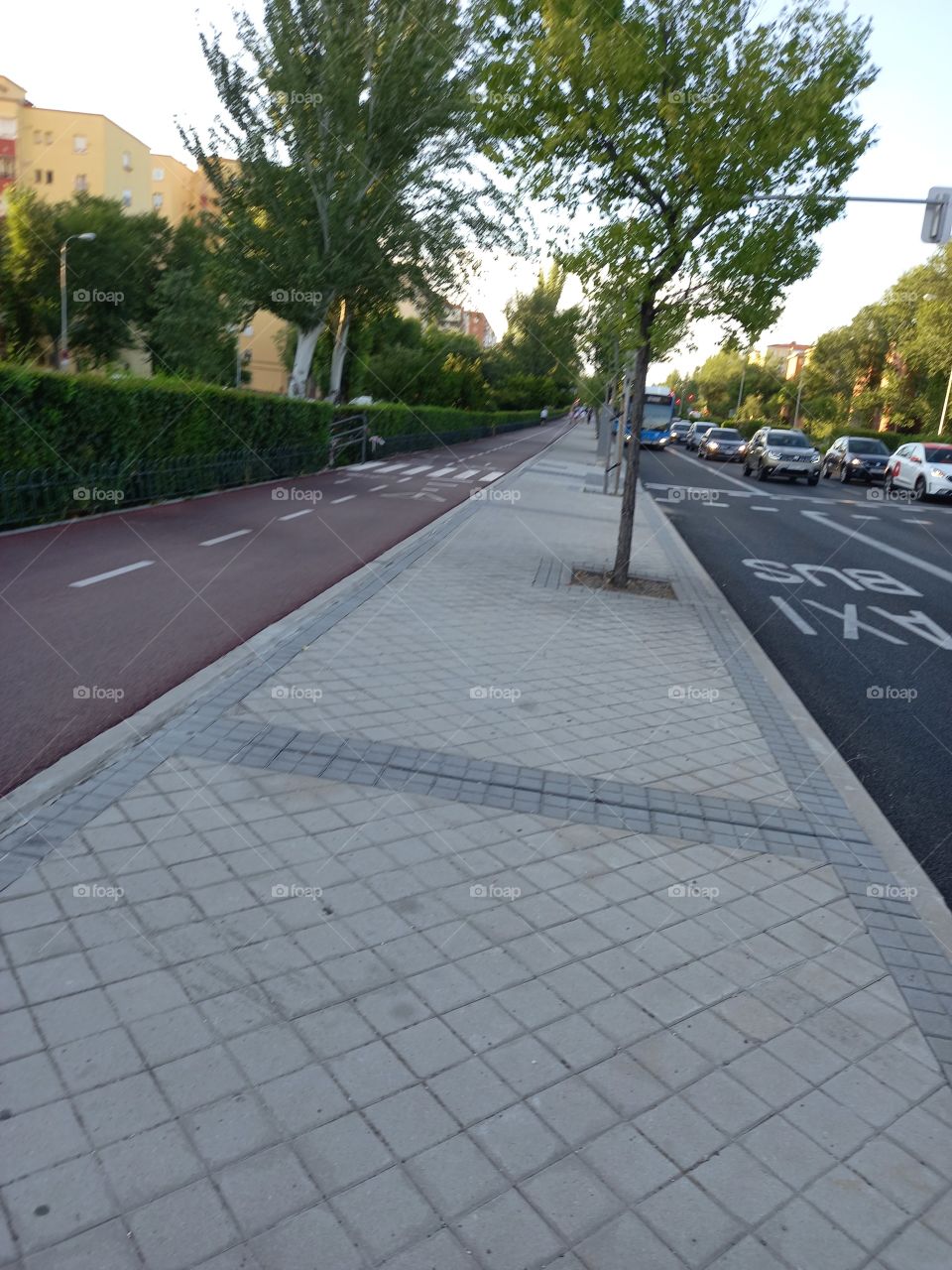 Footpath and Bicycle lane
