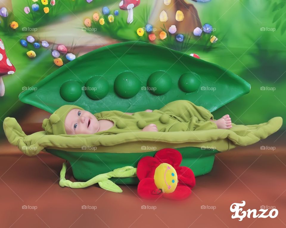 baby dressed up inside a seed and a red flower