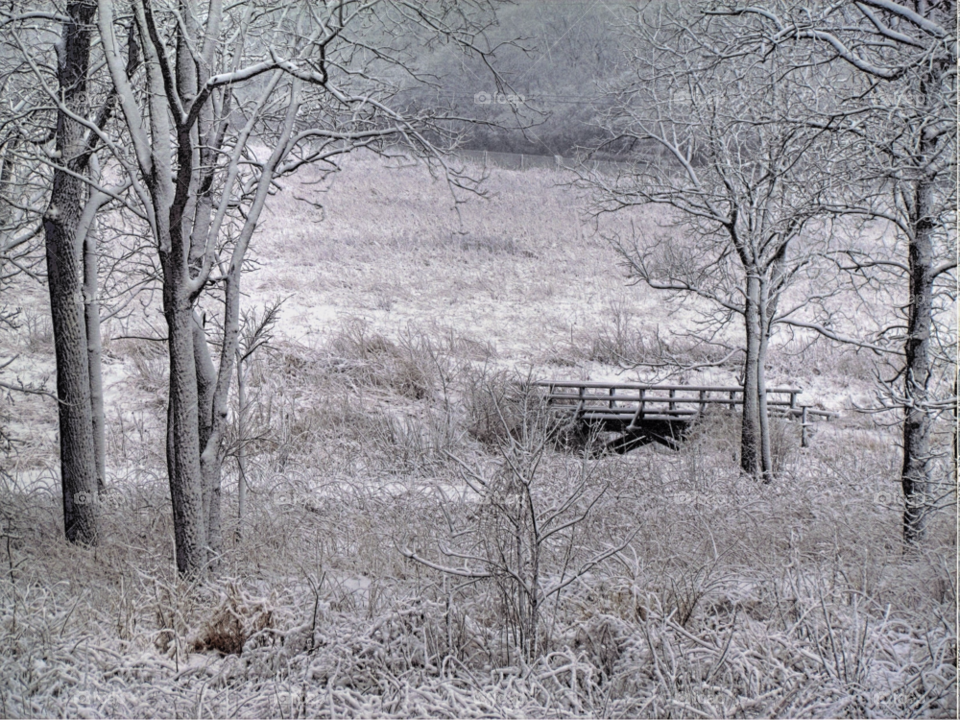 snow winter cold bridge by landon