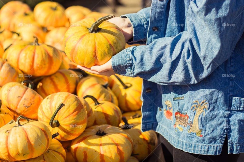 Pumpkin picking at the local farmers market for autumn fall 