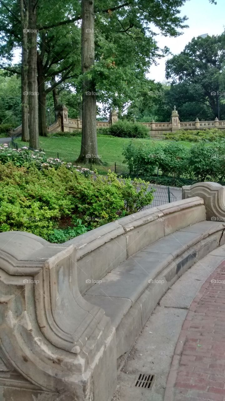 Central Park scene. at location