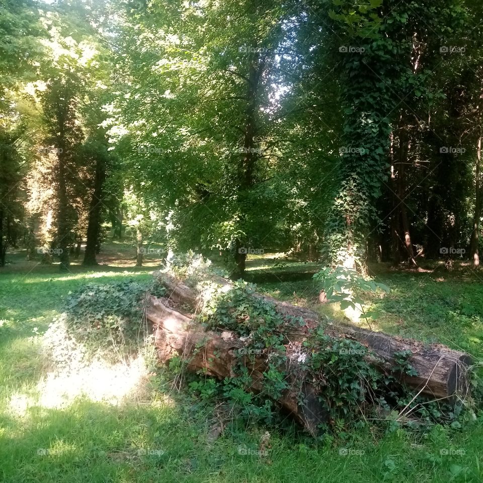 True Nature, no Filters