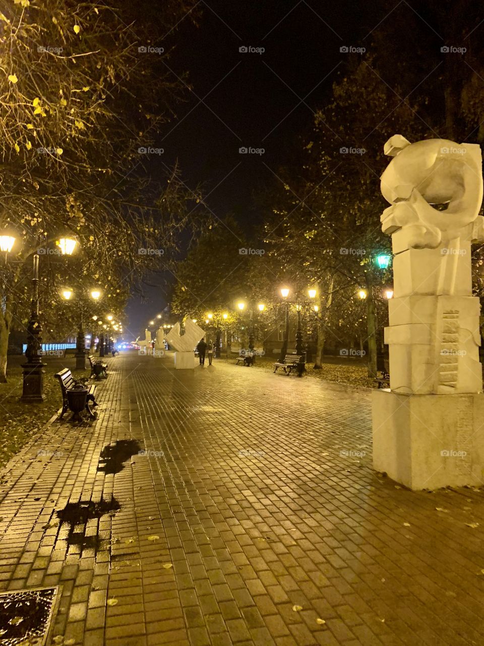 The streets of the night city in the fall after rain, illuminated by street lamps