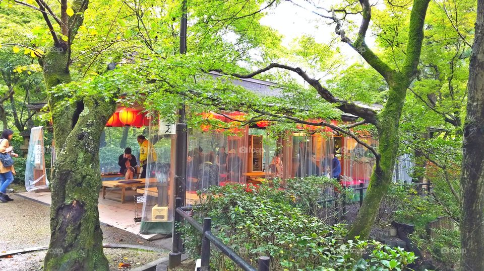 Tea house in the forest, Japan