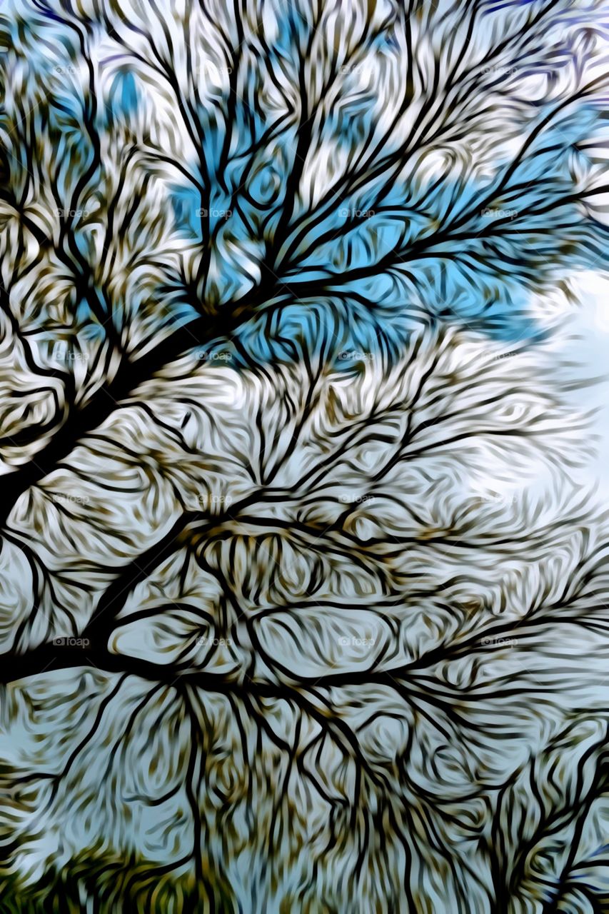 Amazing view! Tree branches during Fall season.