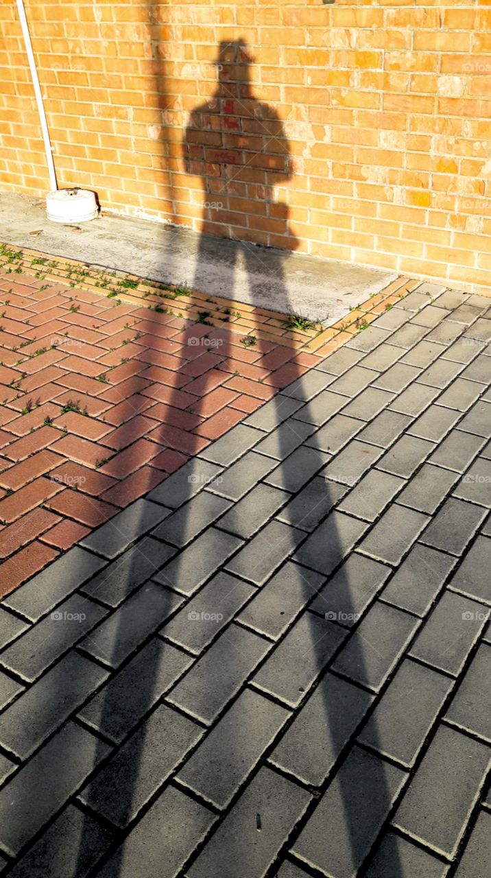 my long shadow