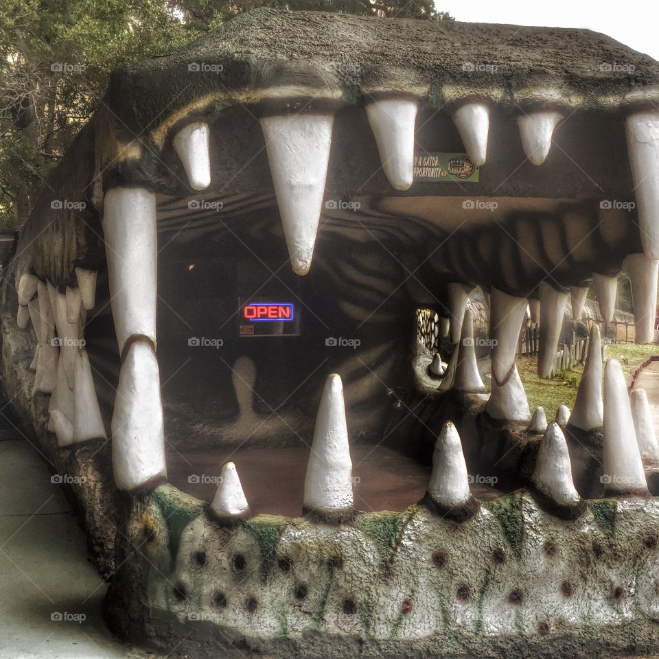 Entrance to Jungle Adventures, Christmas, Florida