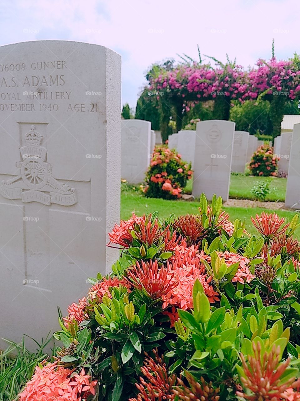 You don't know the pain of dying at 21 for others.[Graveyard of World War Two soldiers]