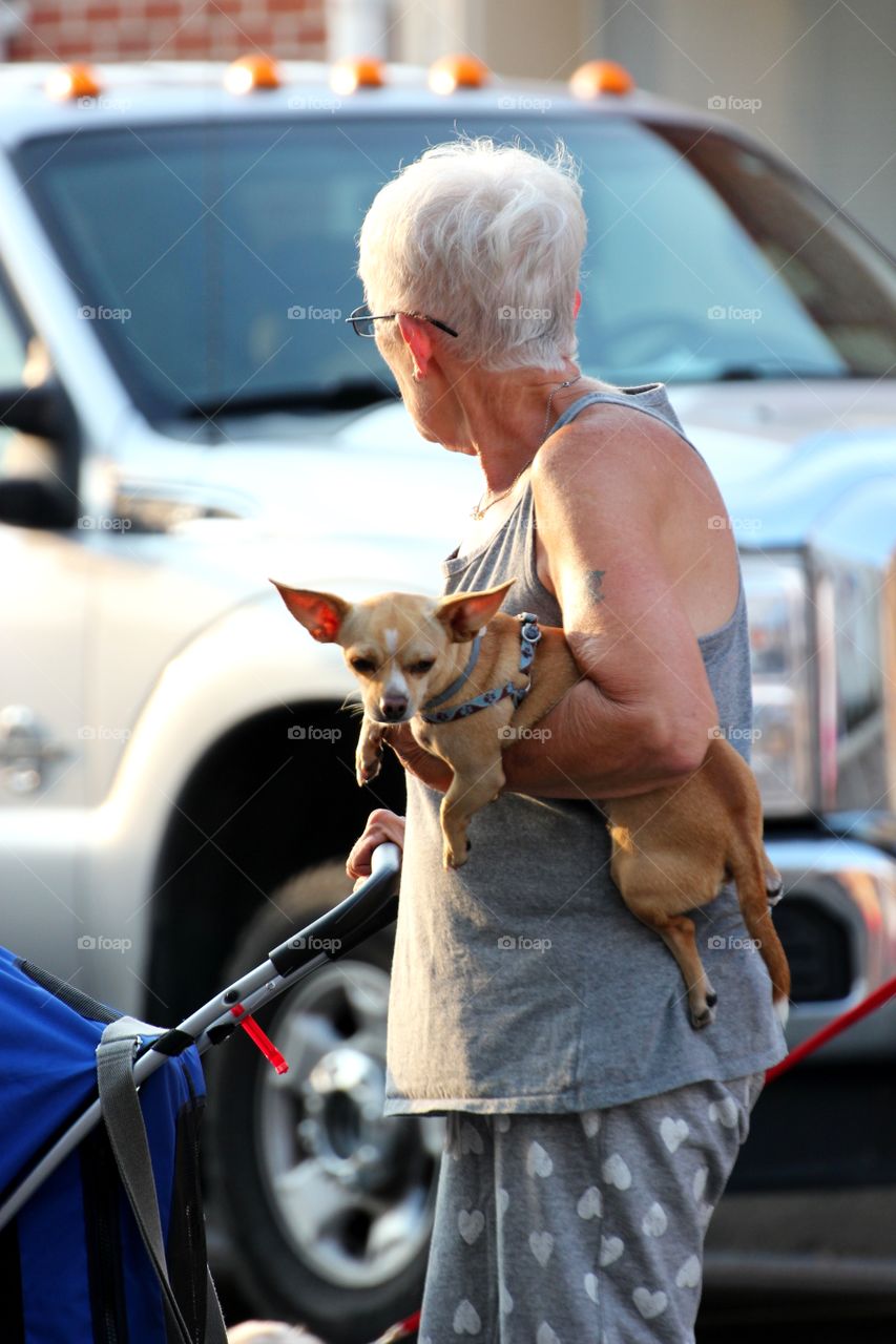 Chihuahua with owner