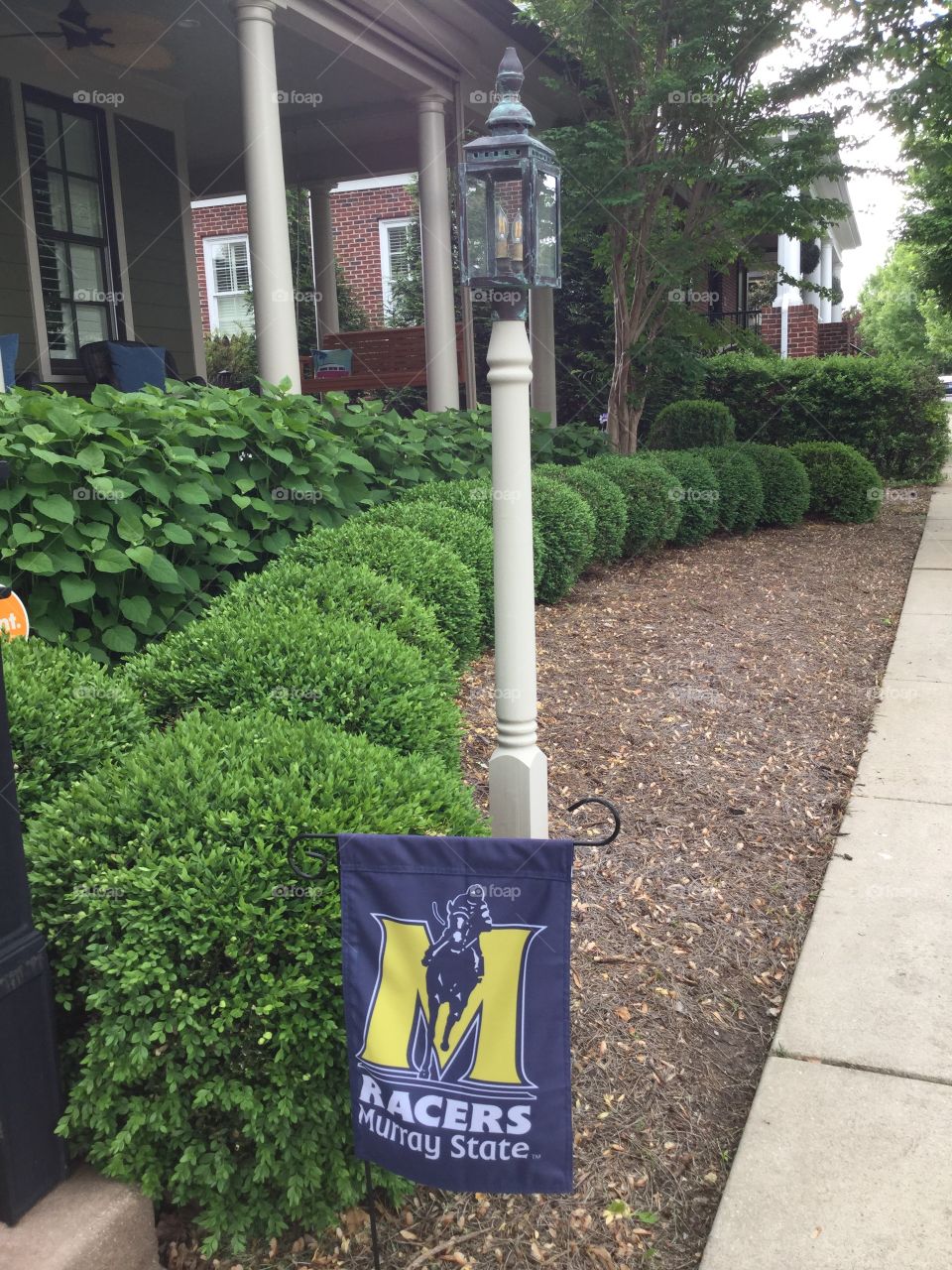 Murray state flag