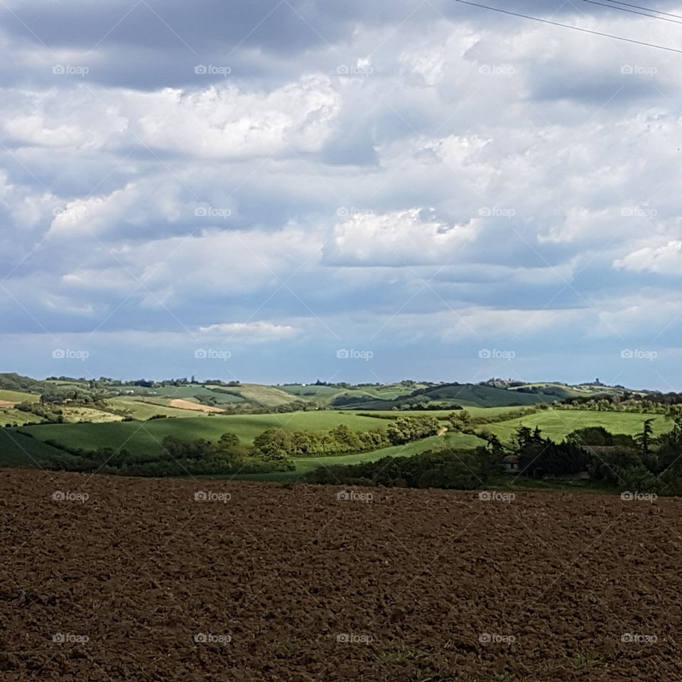 Agriculture, Landscape, No Person, Cropland, Farm