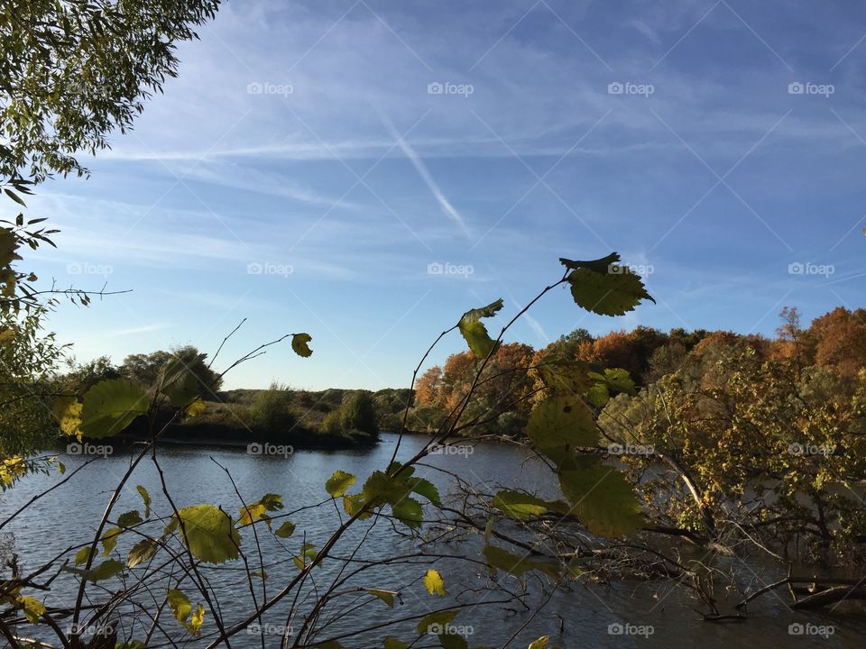 Autumn leaves are falling down...