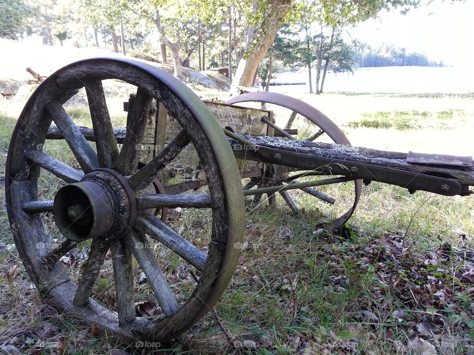 Vintage wagon
