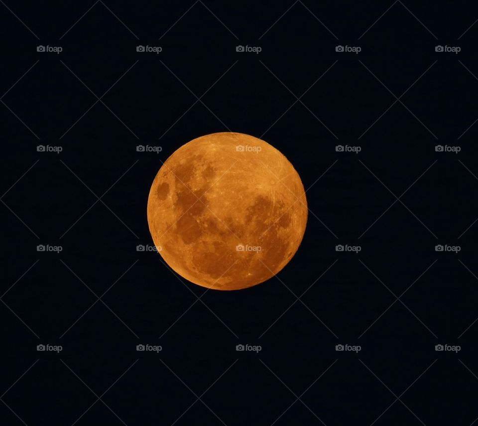 Orange Moon