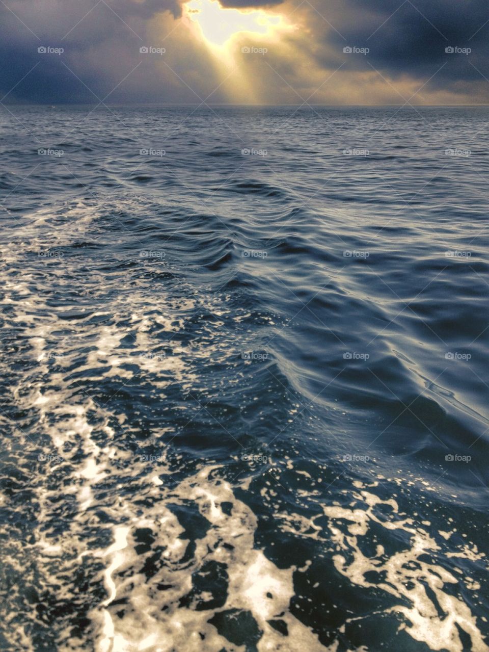 Sunlight falling on sea