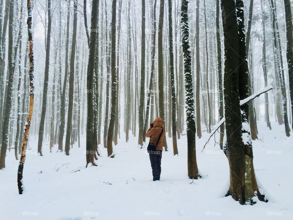 Back of woman in winter clothes hiking alone in a forest covered in snow taking photos