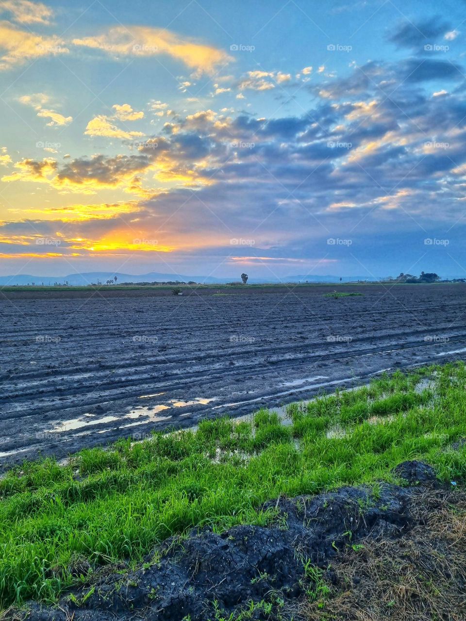agriculture sunrise sunset sky clouds