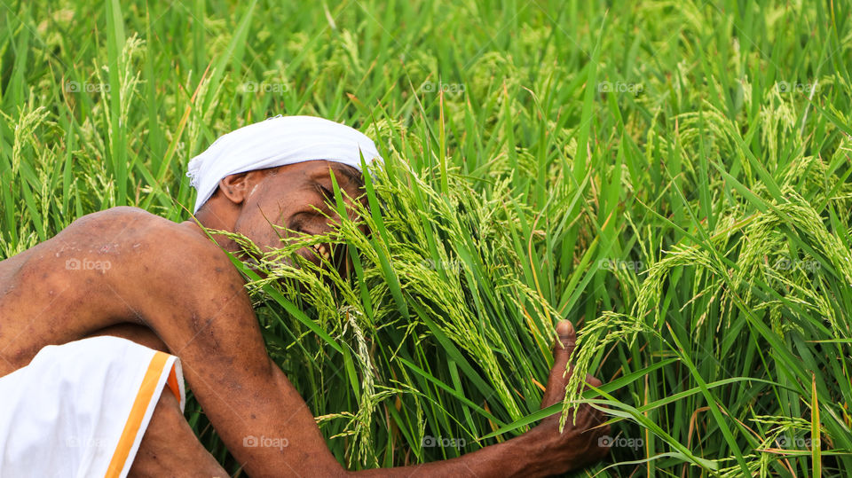 A SOULFUL Story of a farmer who Treat the paddies as his son... eternal love.. agriculture #agriculture