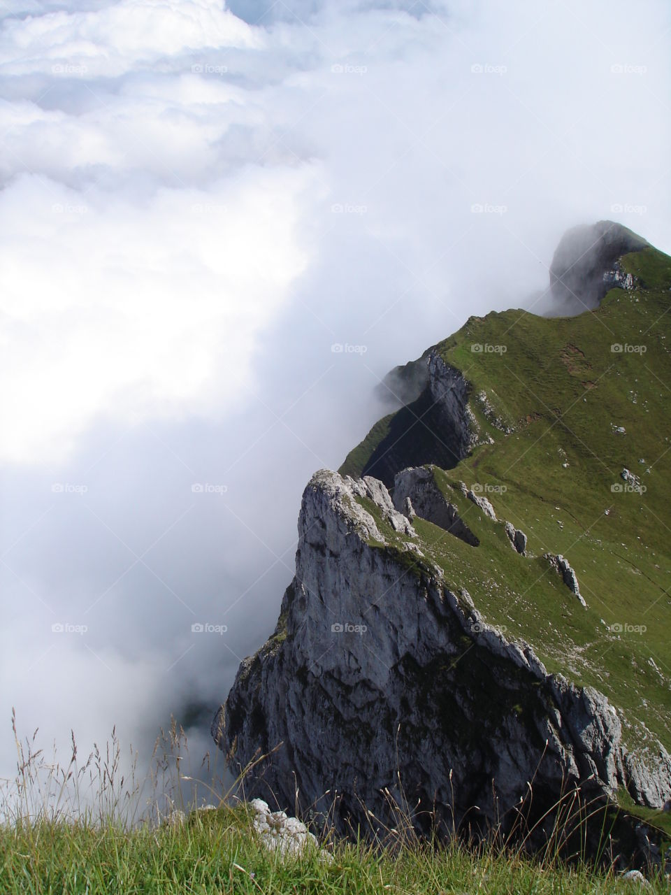 Mountain in Green and White.