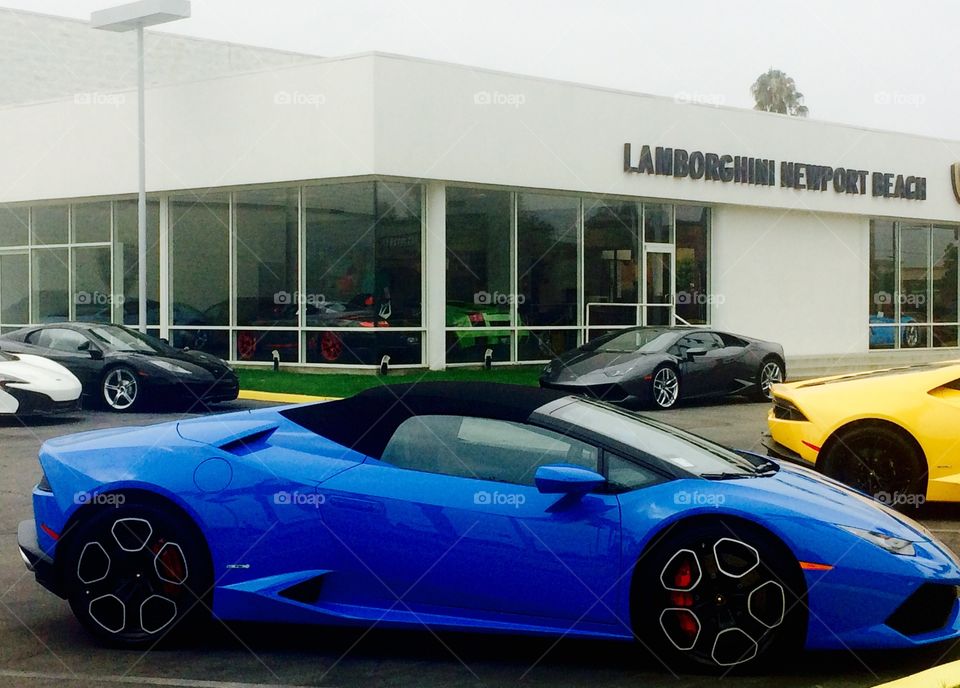 Blue Lamborghini 