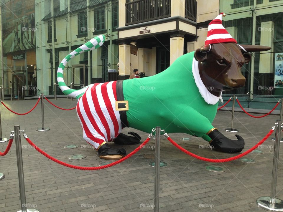 Birmingham bull as an elf . Birmingham bullring's bull dressed as an elf for Christmas 