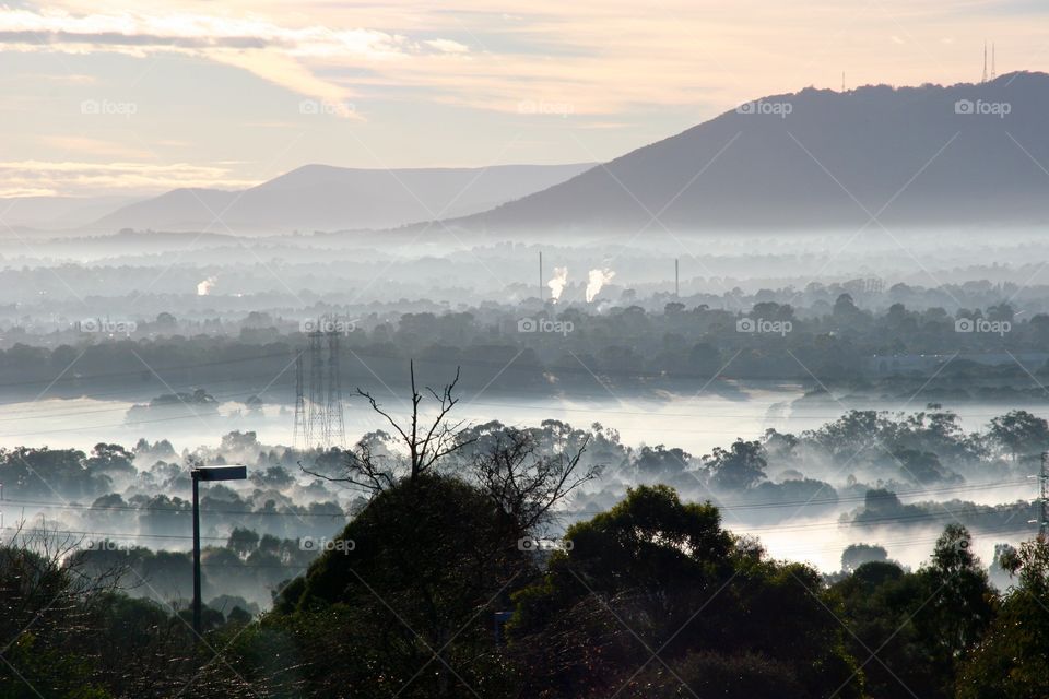 Haze over trees