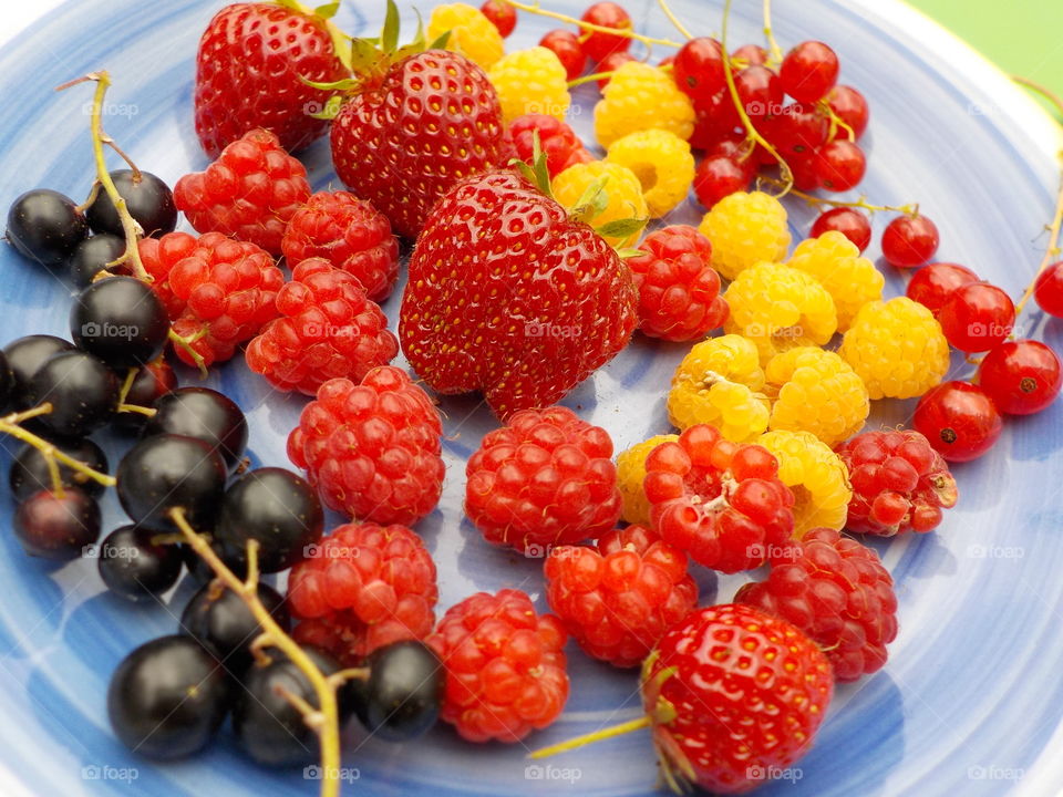 Haven't even picked all kinds there are in my garden