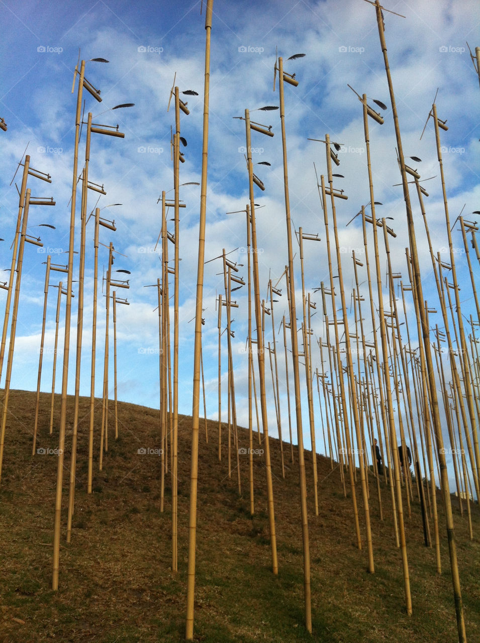 Serenity at Sculptures by The Sea