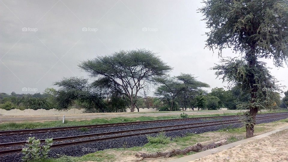 railway tracks and trees