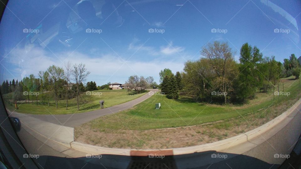 Landscape, Road, Tree, Grass, Guidance