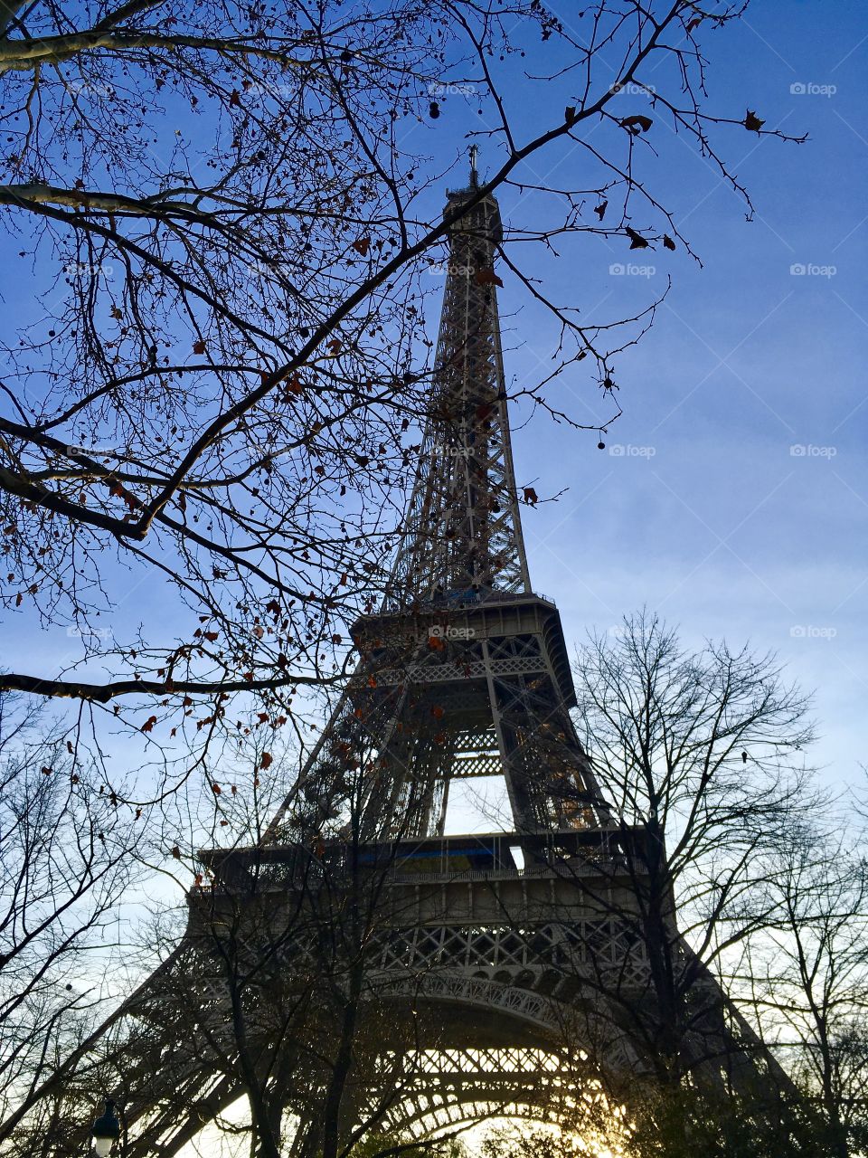 Eiffel Tower 