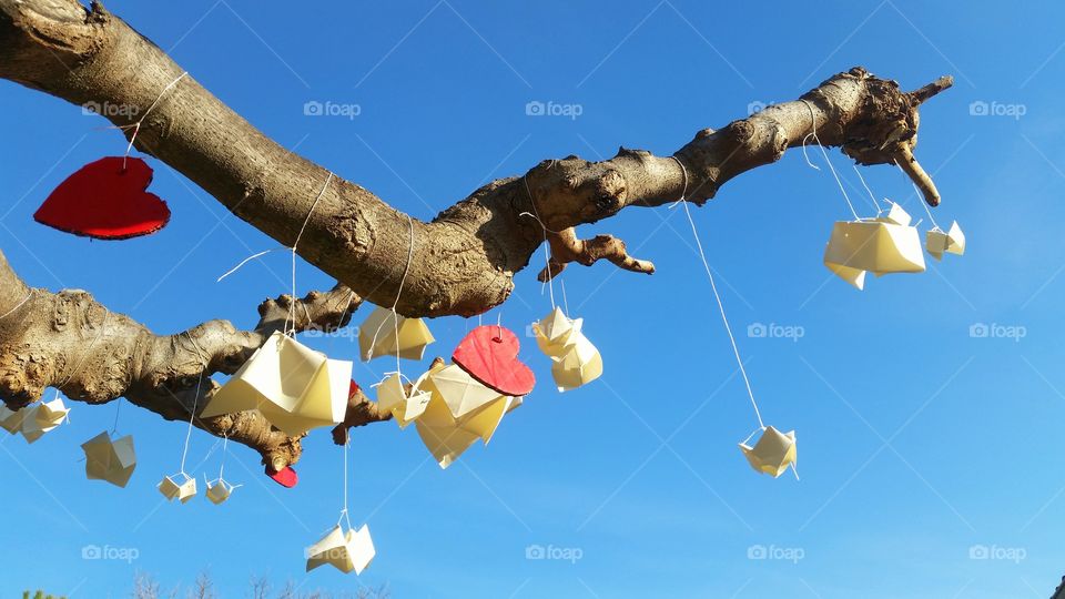 some students turn this tree in to something else in Montpellier, France