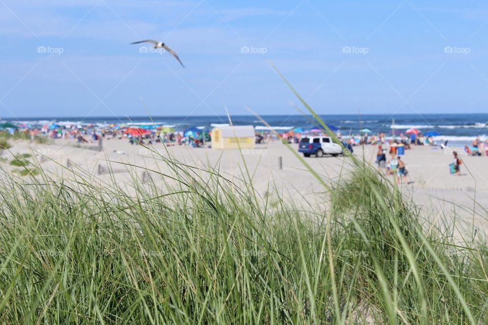 Beach day