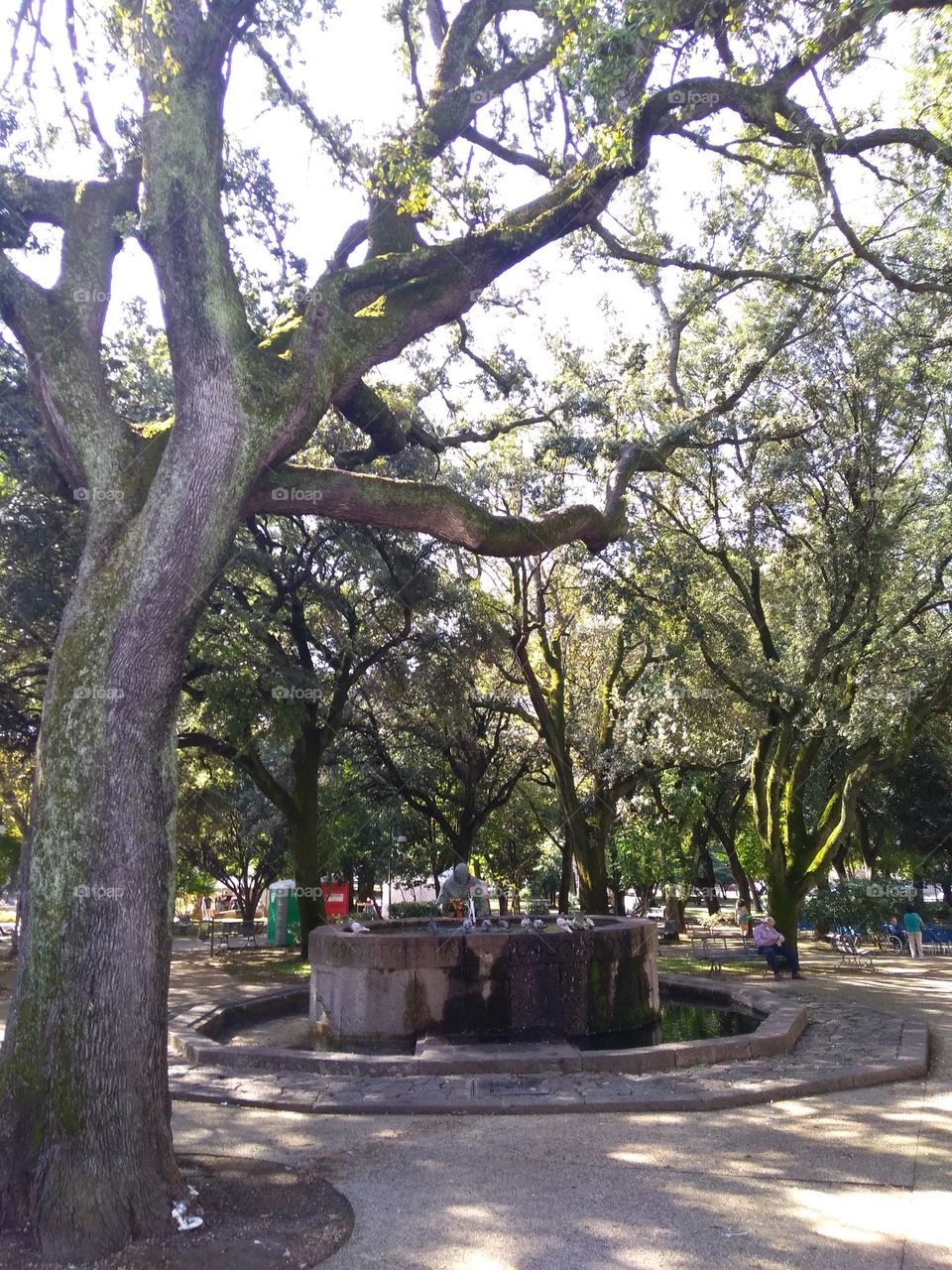 Best of 2021: Nature