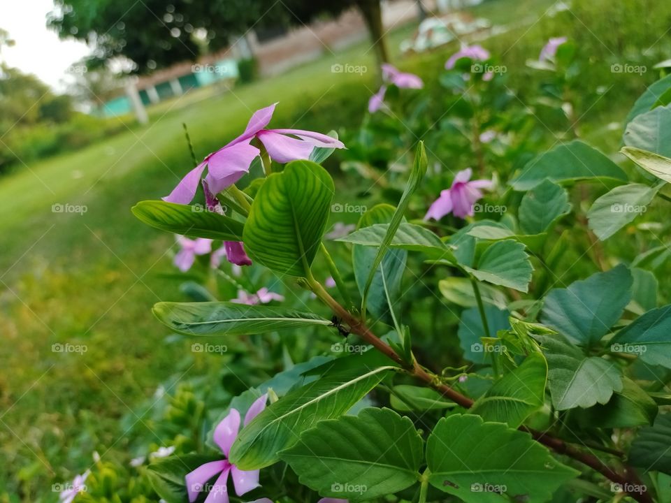 I love it, is you also love it.