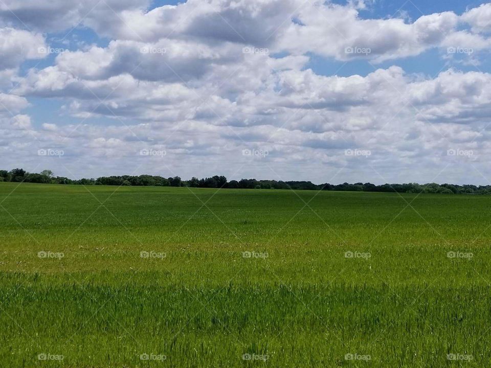 Landscape, Agriculture, Field, No Person, Rural