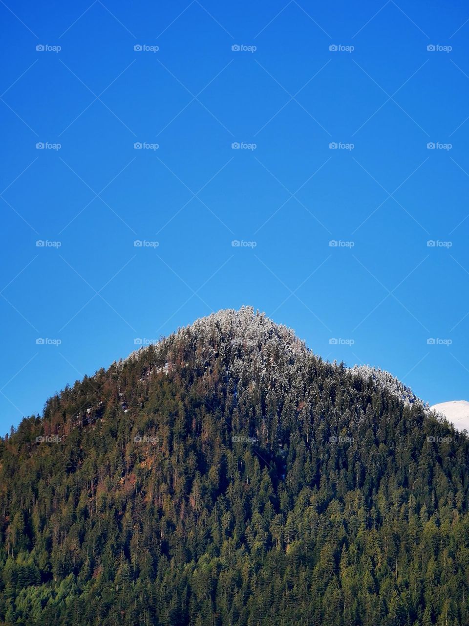 Night snow on cliff of mountain