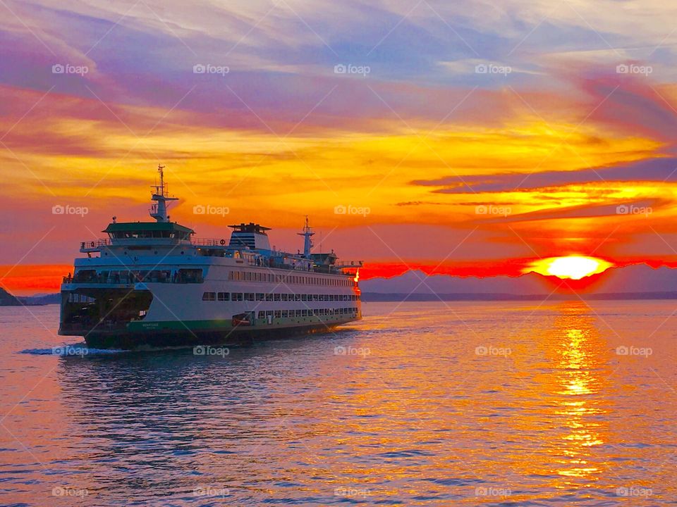 Cruise in the sea at sunset