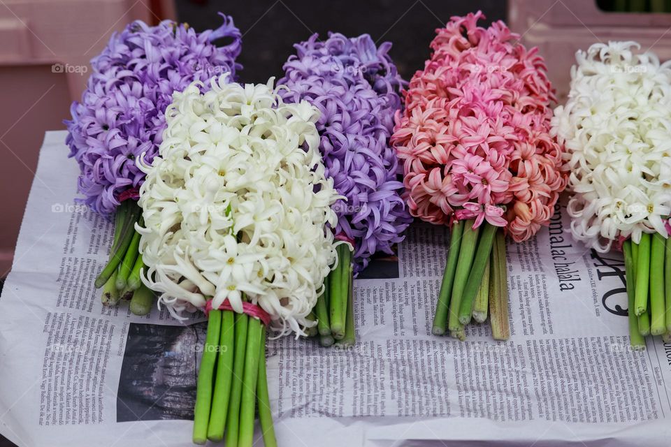 Hyacinth flowers