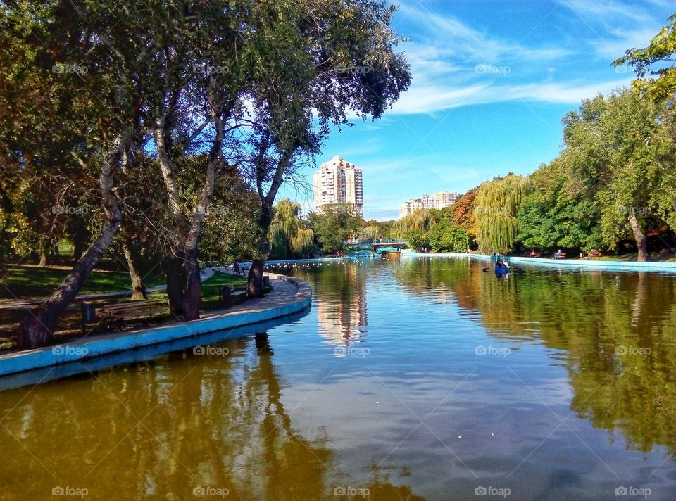 the smoothness of the park lake гладь паркового озера