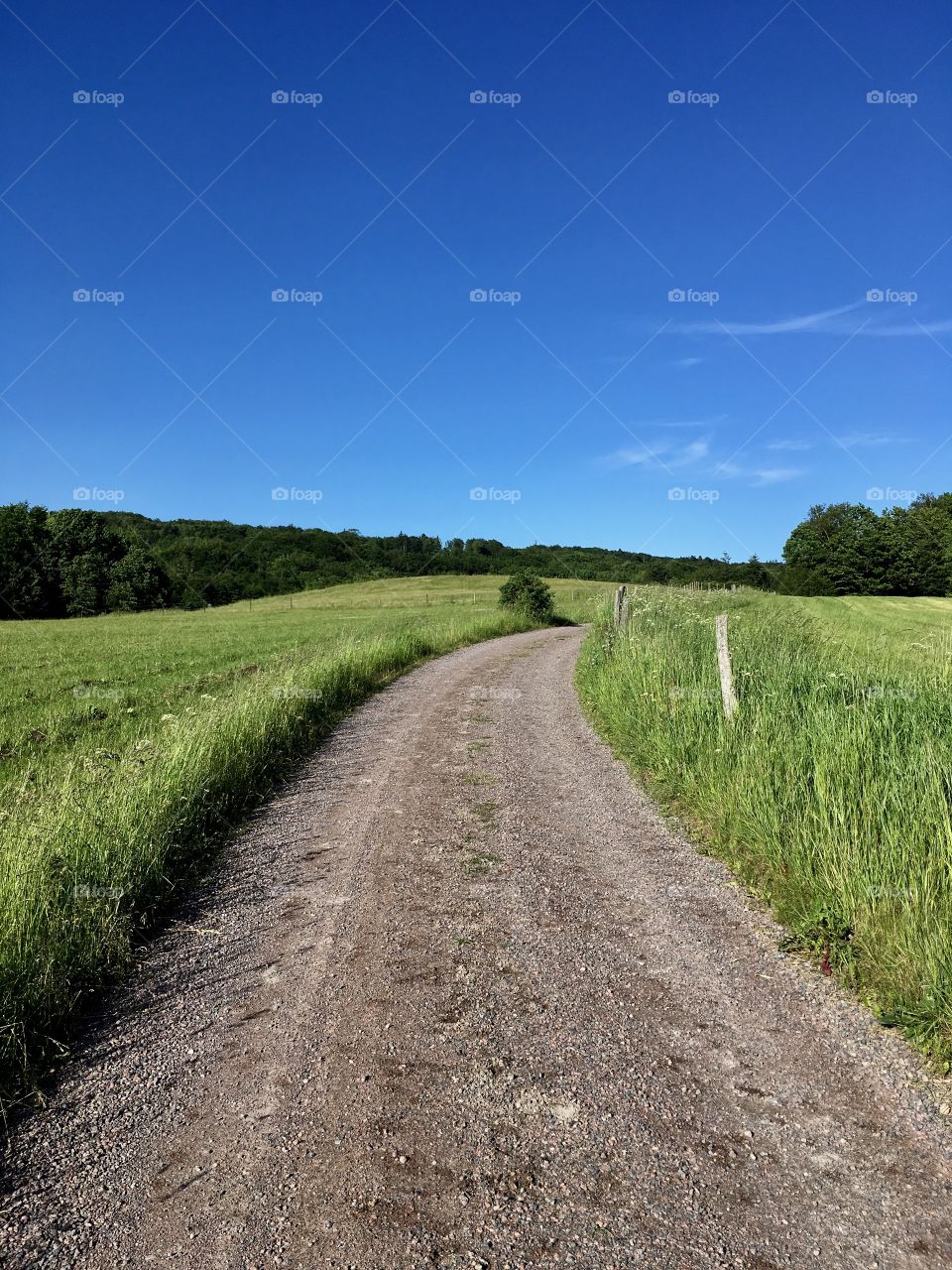 Outdoors walking, Sweden.